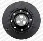 SNR DPF35200 Шкив коленвала