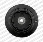 SNR DPF355.09 ременный шкив, коленчатый вал на RENAULT MEGANE I (BA0/1_)