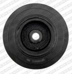 SNR DPF355.18 ременный шкив, коленчатый вал на RENAULT 21 (B48_)
