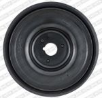 SNR DPF355.25 ременный шкив, коленчатый вал на RENAULT CLIO II (BB0/1/2_, CB0/1/2_)