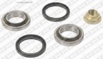 SNR R161.06 комплект подшипника ступицы колеса на AUSTIN MAESTRO (XC)