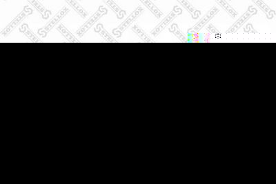 Stellox 11-40317-SX газовая пружина, капот на HYUNDAI SANTA FE I (SM)