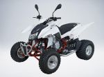 Квадроцикл QuadRaider 450 спортивный черный карбон