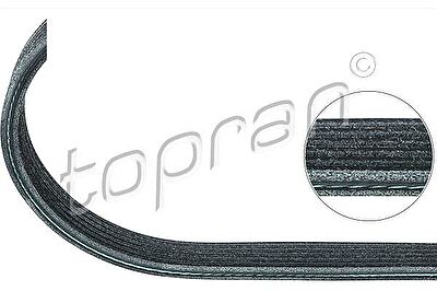 Topran 113 460 поликлиновой ремень на TOYOTA CARINA E Sportswagon (_T19_)