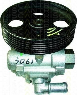 TRISCAN 8515 10601 гидравлический насос, рулевое управление на PEUGEOT 406 Break (8E/F)