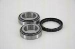 TRISCAN 8530 10128 комплект подшипника ступицы колеса на OPEL FRONTERA B (6B_)