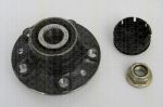 TRISCAN 8530 25248 комплект подшипника ступицы колеса на FIAT CROMA (154)