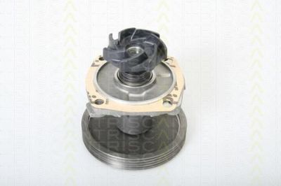 TRISCAN 8600 15010 водяной насос на FIAT UNO (146A/E)