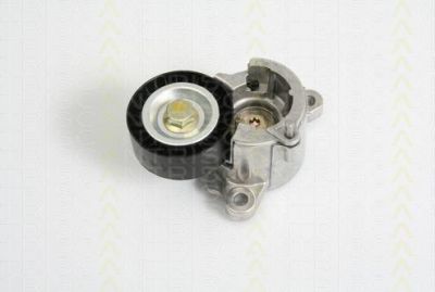 TRISCAN 8641 281023 натяжная планка, поликлиновой ремень на PEUGEOT 206 Наклонная задняя часть (2A/C)