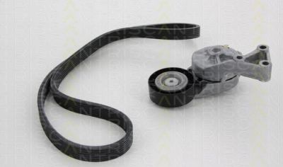 TRISCAN 8642 10011 поликлиновой ременный комплект на VW GOLF IV (1J1)