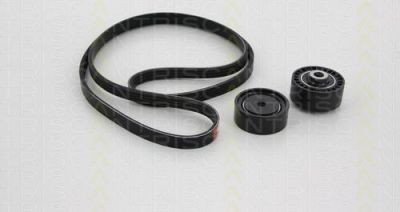 TRISCAN 8642 25004 поликлиновой ременный комплект на RENAULT TWINGO I (C06_)