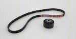 TRISCAN 8642 25005 поликлиновой ременный комплект на RENAULT TWINGO I (C06_)