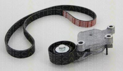 TRISCAN 8642 28012 поликлиновой ременный комплект на PEUGEOT 208