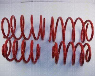 TRISCAN 8755 11013 комплект ходовой части, пружины на 3 купе (E36)