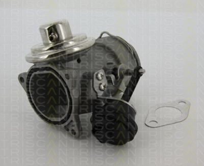 TRISCAN 8813 29040 клапан возврата ог на VW BORA универсал (1J6)