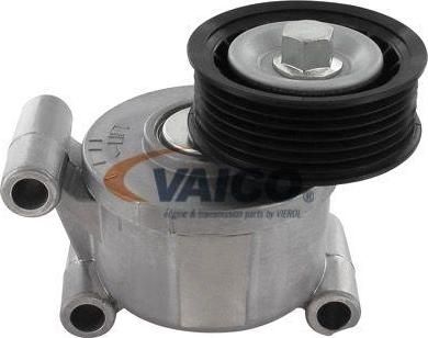 VAICO V25-0446 натяжитель ремня, клиновой зубча на FORD FOCUS II (DA_)