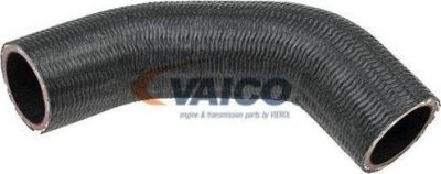 VAICO V41-0003 трубка нагнетаемого воздуха на JAGUAR S-TYPE (CCX)