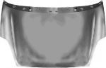 Van Wezel 1624660 капот двигателя на FIAT GRANDE PUNTO (199)