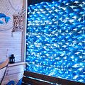 NEON-NIGHT 215-022 Гирлянда светодиодная Сеть 2х1,5м 288 LED БЕЛЫЙ/СИНИЙ черный ПВХ IP65 свечение с динамикой 230В контроллер в комплекте NEON-NIGHT NEON-NIGHT 215-022 Гирлянда светодиодная Сеть 2х1,5м 288 LED БЕЛЫЙ/СИНИЙ черный ПВХ IP65 свечение с динамикой 230В контроллер в комплекте NEON-NIGHT