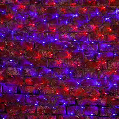 NEON-NIGHT 215-023 Гирлянда светодиодная Сеть 2х1,5м 288 LED КРАСНЫЙ/СИНИЙ черный ПВХ IP65 свечение с динамикой 230В контроллер в комплекте NEON-NIGHT 