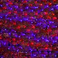 NEON-NIGHT 215-033 Гирлянда светодиодная Сеть 2,5х2,5м 432 LED КРАСНЫЙ/СИНИЙ черный ПВХ IP65 свечение с динамикой 230В контроллер в комплекте NEON-NIGHT 