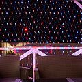 NEON-NIGHT 215-033 Гирлянда светодиодная Сеть 2,5х2,5м 432 LED КРАСНЫЙ/СИНИЙ черный ПВХ IP65 свечение с динамикой 230В контроллер в комплекте NEON-NIGHT 