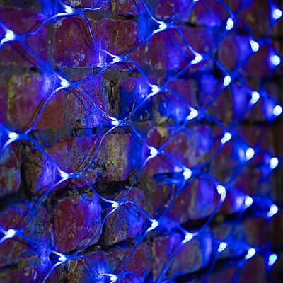 NEON-NIGHT 215-043 Гирлянда светодиодная Сеть 2х1,5м 288 LED СИНИЙ прозрачный ПВХ IP65 свечение с динамикой 230В блок в комплекте NEON-NIGHT 