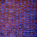 NEON-NIGHT 215-043 Гирлянда светодиодная Сеть 2х1,5м 288 LED СИНИЙ прозрачный ПВХ IP65 свечение с динамикой 230В блок в комплекте NEON-NIGHT NEON-NIGHT 215-043 Гирлянда светодиодная Сеть 2х1,5м 288 LED СИНИЙ прозрачный ПВХ IP65 свечение с динамикой 230В блок в комплекте NEON-NIGHT