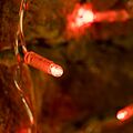 NEON-NIGHT 235-102 Гирлянда светодиодная Занавес 2x0,8м 160 LED КРАСНЫЙ прозрачный ПВХ IP65 постоянное свечение 230В блок в комплекте NEON-NIGHT NEON-NIGHT 235-102 Гирлянда светодиодная Занавес 2x0,8м 160 LED КРАСНЫЙ прозрачный ПВХ IP65 постоянное свечение 230В блок в комплекте NEON-NIGHT