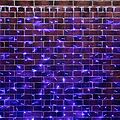 NEON-NIGHT 235-173 Гирлянда светодиодная Занавес 2х6м 768 LED СИНИЙ прозрачный ПВХ IP65 постоянное свечение 230В нужен блок 303-500-1 NEON-NIGHT NEON-NIGHT 235-173 Гирлянда светодиодная Занавес 2х6м 768 LED СИНИЙ прозрачный ПВХ IP65 постоянное свечение 230В нужен блок 303-500-1 NEON-NIGHT