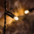 NEON-NIGHT 235-356 Гирлянда светодиодная Занавес 2х0,8м 160 LED ТЕПЛЫЙ БЕЛЫЙ черный ПВХ IP65 эффект мерцания 230В нужен блок 303-500 NEON-NIGHT
