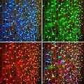 NEON-NIGHT 245-309 Гирлянда светодиодная Занавес 2х1,5м 300 LED RGB прозрачный ПВХ IP65 для свечения с динамикой 230В нужен контроллер 245-908 NEON-NIGHT