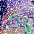 NEON-NIGHT 245-409 Гирлянда светодиодная Нить 10м 100 LED RGB прозрачный ПВХ IP65 свечение с динамикой 230В соединяется NEON-NIGHT нужен контроллер 245-908 NEON-NIGHT 245-409 Гирлянда светодиодная Нить 10м 100 LED RGB прозрачный ПВХ IP65 свечение с динамикой 230В соединяется NEON-NIGHT нужен контроллер 245-908