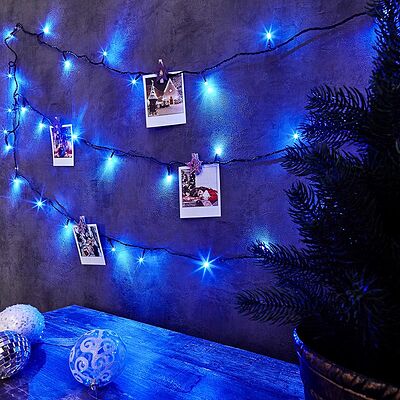 NEON-NIGHT 303-023 Гирлянда Твинкл Лайт 6 м, темно-зеленый ПВХ, 40 LED, цвет: Синий