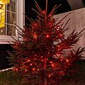 NEON-NIGHT 303-132 Гирлянда Нить управляемая 10м 100 LED КРАСНЫЙ черный ПВХ IP65 свечение с динамикой 230В контроллер в комплекте NEON-NIGHT NEON-NIGHT 303-132 Гирлянда Нить управляемая 10м 100 LED КРАСНЫЙ черный ПВХ IP65 свечение с динамикой 230В контроллер в комплекте NEON-NIGHT