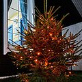 NEON-NIGHT 303-151 Гирлянда Нить управляемая 10м 100 LED ОРАНЖЕВЫЙ черный ПВХ IP65 свечение с динамикой 230В контроллер в комплекте NEON-NIGHT NEON-NIGHT 303-151 Гирлянда Нить управляемая 10м 100 LED ОРАНЖЕВЫЙ черный ПВХ IP65 свечение с динамикой 230В контроллер в комплекте NEON-NIGHT