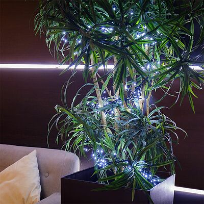 NEON-NIGHT 303-625 Гирлянда Кластер LED 3 м, темно-зеленый ПВХ IP20, 288 диодов, цвет белый