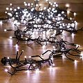 NEON-NIGHT 303-625 Гирлянда Кластер LED 3 м, темно-зеленый ПВХ IP20, 288 диодов, цвет белый