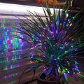 NEON-NIGHT 303-629 Гирлянда Кластер LED 3 м, темно-зеленый ПВХ IP20, 288 диодов, цвет мультиколор NEON-NIGHT 303-629 Гирлянда Кластер LED 3 м, темно-зеленый ПВХ IP20, 288 диодов, цвет мультиколор