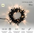 NEON-NIGHT 305-146 Гирлянда светодиодная Нить 10м 100 LED ТЕПЛЫЙ БЕЛЫЙ черный ПВХ IP65 постоянное свечение 24В соединяется NEON-NIGHT нужен транс-ор 531-100/531-311/531-312