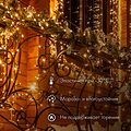 NEON-NIGHT 305-252 Гирлянда светодиодная Нить 10м 100 LED КРАСНЫЙ прозрачный ПВХ IP65 эффект мерцания 24В соединяется NEON-NIGHT нужен трансформатор 531-100/531-311/531-312 NEON-NIGHT 305-252 Гирлянда светодиодная Нить 10м 100 LED КРАСНЫЙ прозрачный ПВХ IP65 эффект мерцания 24В соединяется NEON-NIGHT нужен трансформатор 531-100/531-311/531-312