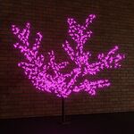 NEON-NIGHT 531-126 Светодиодное Дерево Сакура, высота 2,4м, диаметр кроны 2,0м, фиолетовые диоды, IP 65, понижающий трансформатор в комплекте NEON-NIGHT