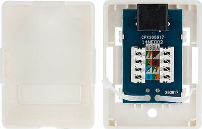REXANT 03-0132 Розетка компьютерная внешняя, 1-порт RJ-45 (8P8C), UTP CAT 6 REXANT