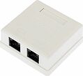 REXANT 03-0136 Розетка компьютерная внешняя, 2-порта RJ-45 (8P8C), UTP CAT 6 REXANT REXANT 03-0136 Розетка компьютерная внешняя, 2-порта RJ-45 (8P8C), UTP CAT 6 REXANT