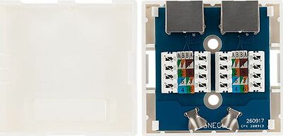 REXANT 03-0146 Розетка компьютерная внешняя, 2-порта FTP RJ-45 (8P8C), CAT 6 REXANT