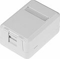 REXANT 03-0221 Корпус настенной розетки под 1 модуль Keystone Jack белый REXANT 03-0221 Корпус настенной розетки под 1 модуль Keystone Jack белый