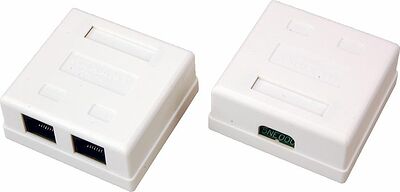 REXANT 06-0105-C Розетка сетевая LAN, на стену, 2 гнездо 8Р8С (RJ-45), CAT 5е REXANT 