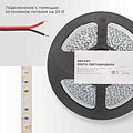 REXANT 141-638 Лента светодиодная 24В, SMD2835, 9,6Вт/м, 120 LED/м, 4000K, 10мм, 5м,IP20 REXANT REXANT 141-638 Лента светодиодная 24В, SMD2835, 9,6Вт/м, 120 LED/м, 4000K, 10мм, 5м,IP20 REXANT