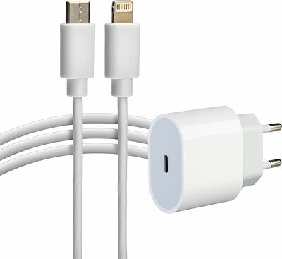 REXANT 16-0234-4 Сетевое зарядное устройство USB-C, 20Вт в комплекте с кабелем USB-C – Lightning REXANT