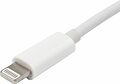 REXANT 18-4152 Переходник Lightning (Male) - HDMI (Female) REXANT